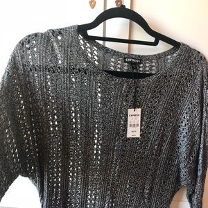 Express Light weight sweater